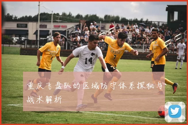 重庆飞盘队的区域防守体系探秘与战术解析