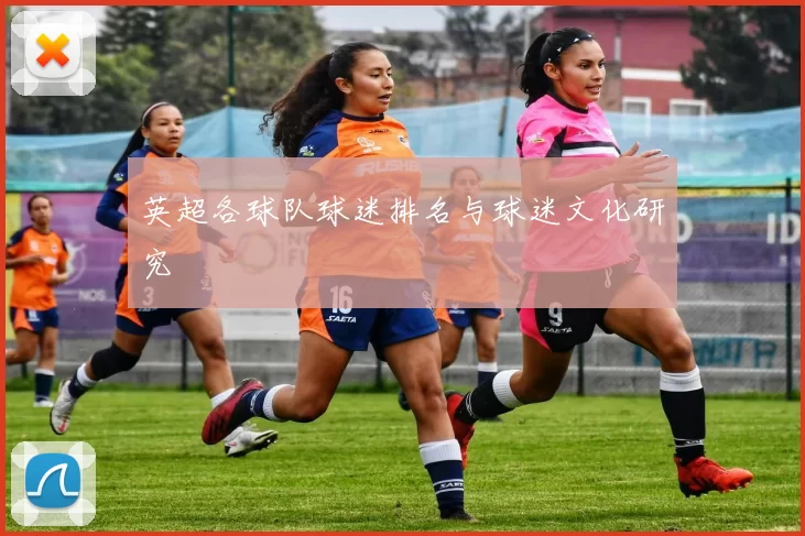 英超各球队球迷排名与球迷文化研究