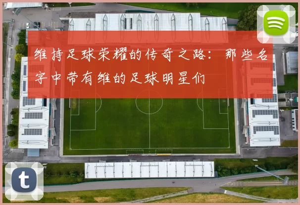 维持足球荣耀的传奇之路：那些名字中带有维的足球明星们
