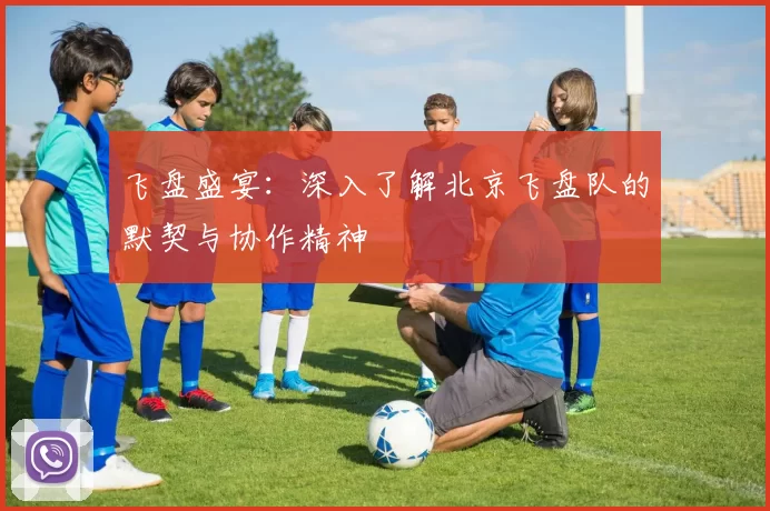飞盘盛宴：深入了解北京飞盘队的默契与协作精神