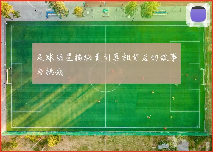 足球明星揭秘青训真相背后的故事与挑战