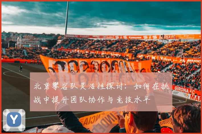 北京攀岩队灵活性探讨：如何在挑战中提升团队协作与竞技水平