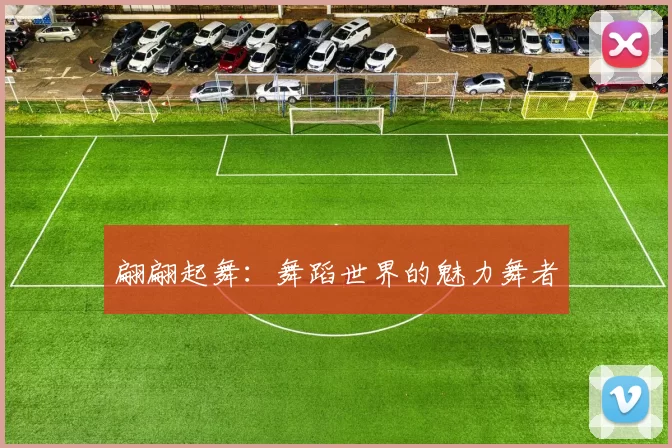 翩翩起舞：舞蹈世界的魅力舞者