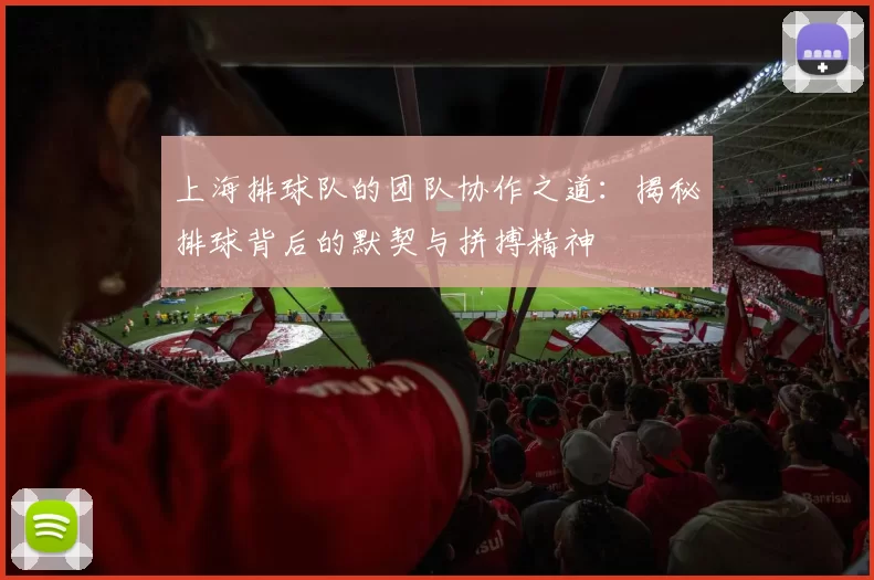 上海排球队的团队协作之道：揭秘排球背后的默契与拼搏精神