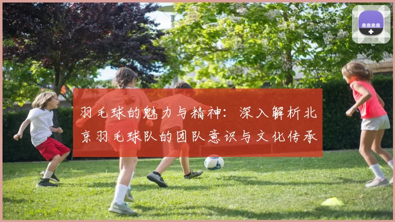 羽毛球的魅力与精神：深入解析北京羽毛球队的团队意识与文化传承