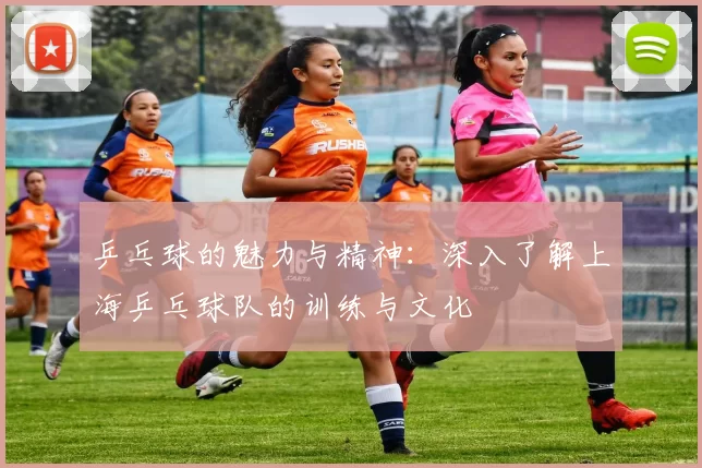乒乓球的魅力与精神：深入了解上海乒乓球队的训练与文化