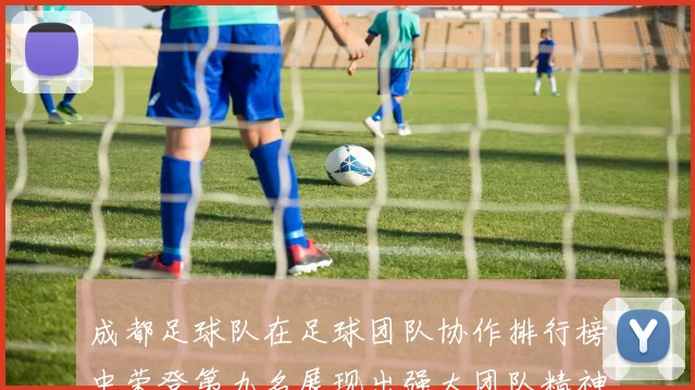 成都足球队在足球团队协作排行榜中荣登第九名展现出强大团队精神与默契配合