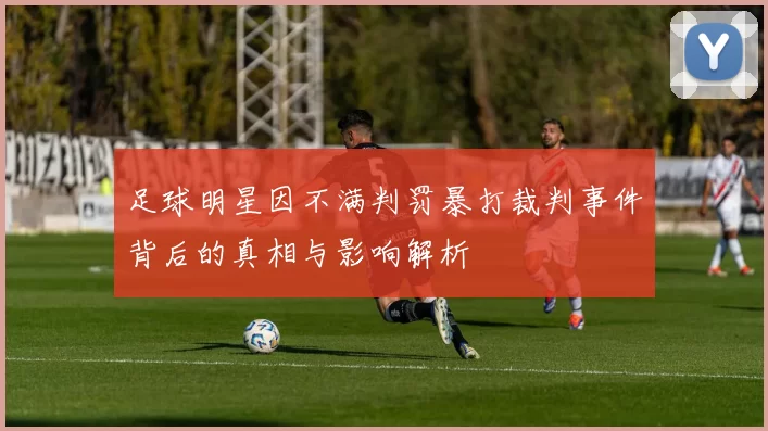 足球明星因不满判罚暴打裁判事件背后的真相与影响解析