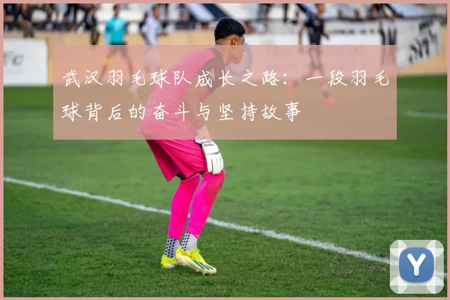 武汉羽毛球队成长之路：一段羽毛球背后的奋斗与坚持故事