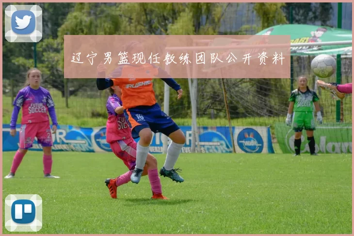 辽宁男篮现任教练团队公开资料