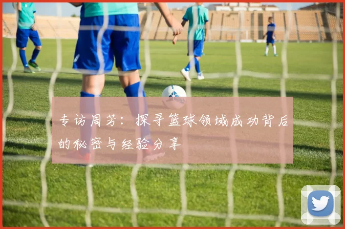 专访周芳：探寻篮球领域成功背后的秘密与经验分享