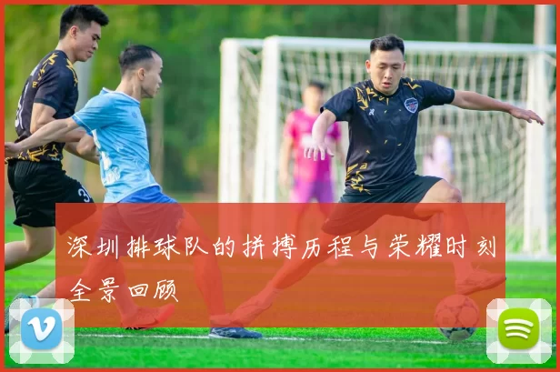 深圳排球队的拼搏历程与荣耀时刻全景回顾