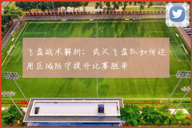飞盘战术解析：武汉飞盘队如何运用区域防守提升比赛胜率
