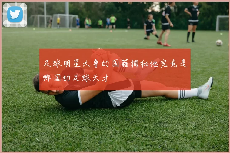 足球明星大鲁的国籍揭秘他究竟是哪国的足球天才