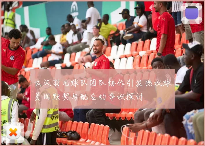 武汉羽毛球队团队协作引发热议球员间默契与配合的争议探讨