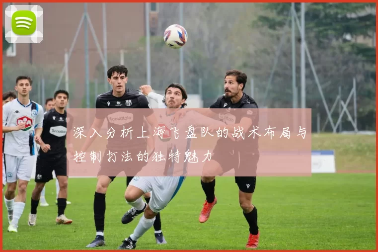 深入分析上海飞盘队的战术布局与控制打法的独特魅力