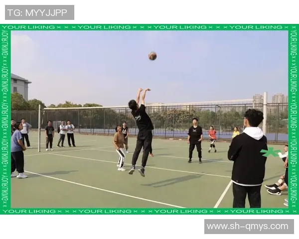 杭州排球队的奋斗与荣耀：一段不平凡的排球纪实之旅