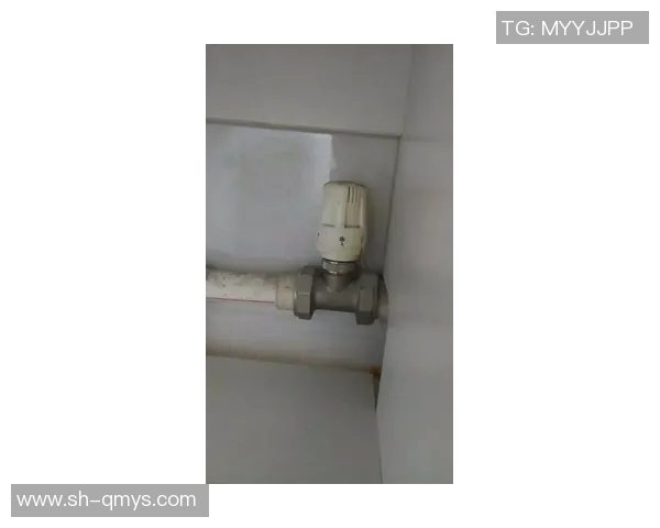 水管阀门选择与维护技巧解析，确保家庭用水安全与节能高效运行