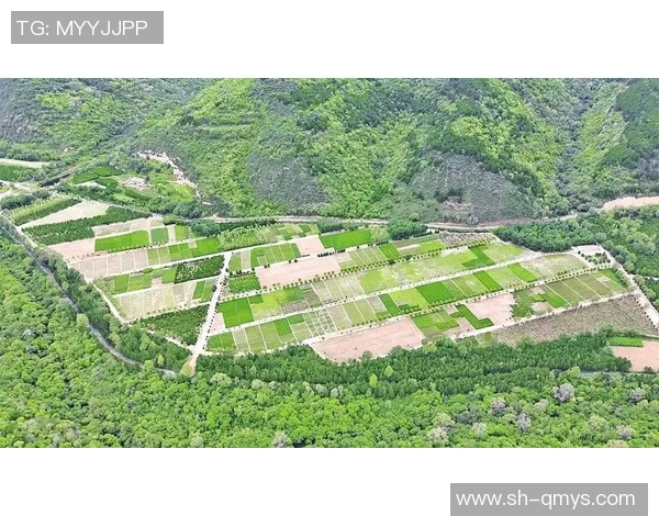 生态文明建设中的绿色发展路径探索与实践创新